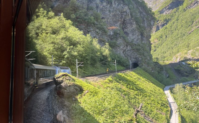 Trotamundos en Ruta - Tren de Flåm