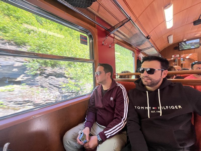 Trotamundos en Ruta a bordo del Tren de Flåm 