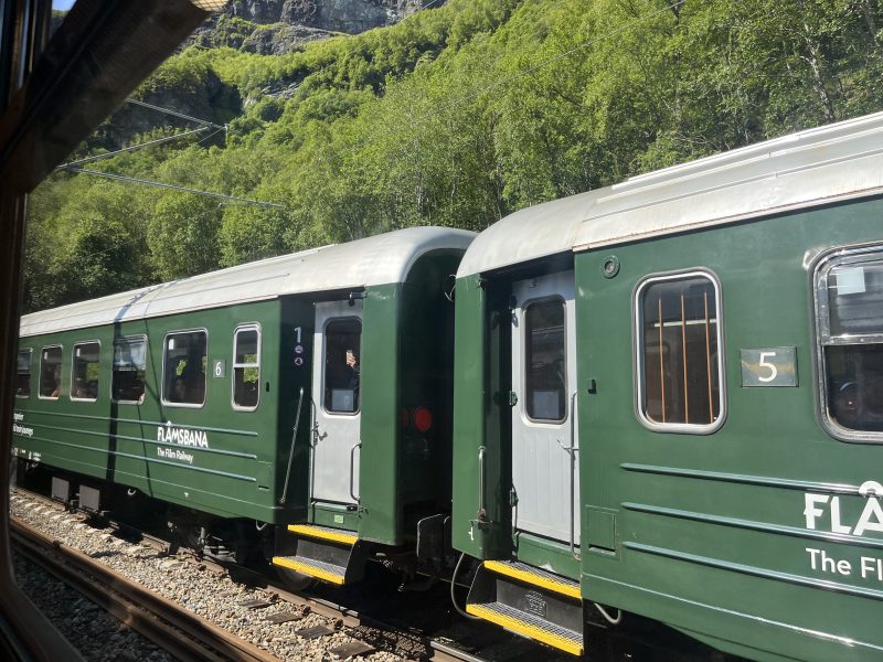 Trotamundos en Ruta - Tren de Flåm