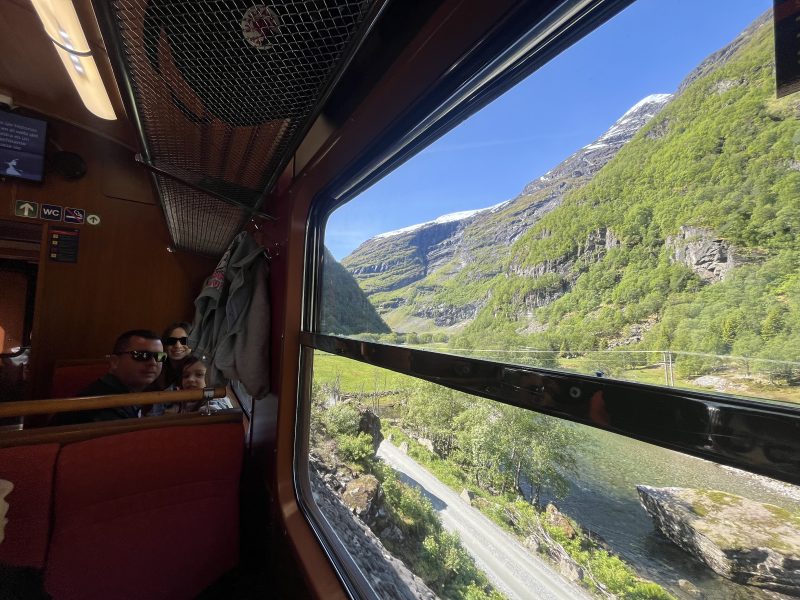 Trotamundos en Ruta - Tren de Flåm